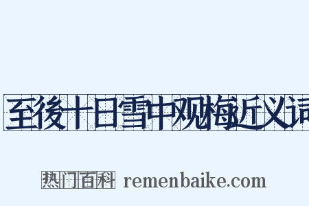 至後十日雪中观梅近义词是什么意思的图片